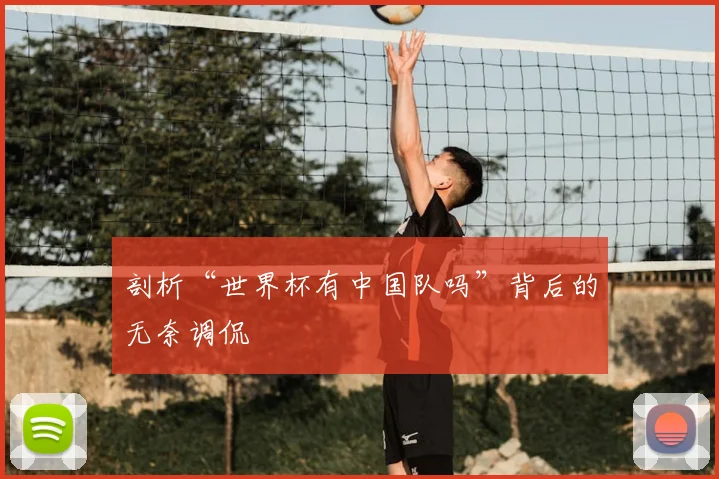 剖析“世界杯有中国队吗”背后的无奈调侃